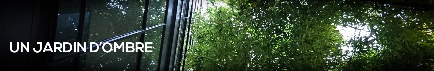 jardin d'ombre